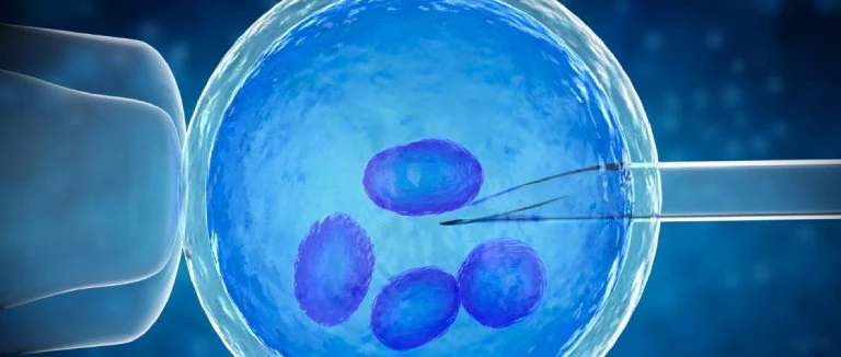 Understanding the Different Stages of In Vitro Fertilization
